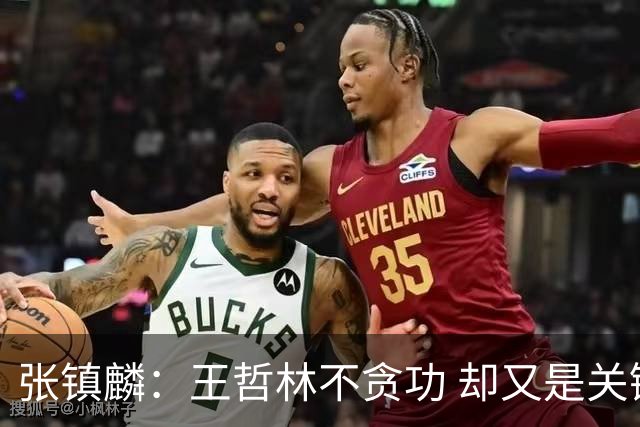 张镇麟：王哲林不贪功 却又是关键时刻能站出来的人 队长当之无愧